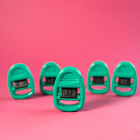 Clipso Sockenklammern 5er Set grün
